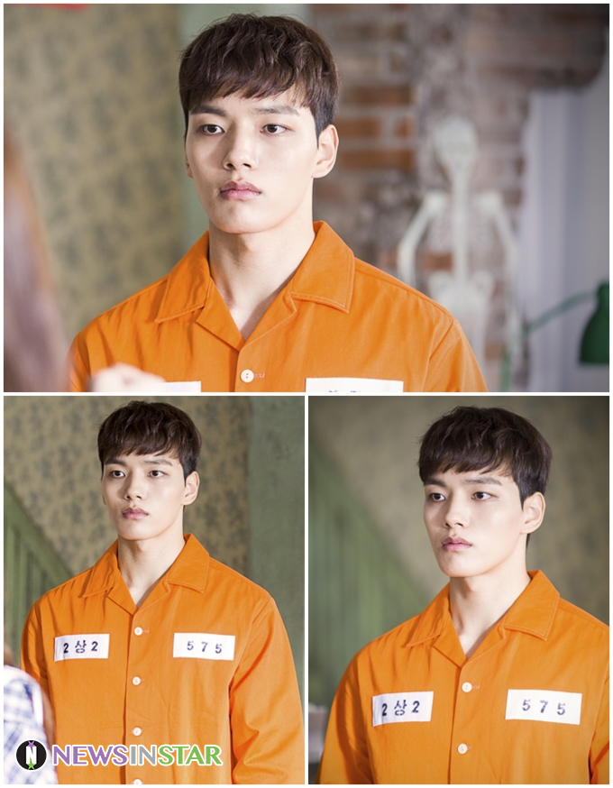 사진 - 아폴로픽쳐스