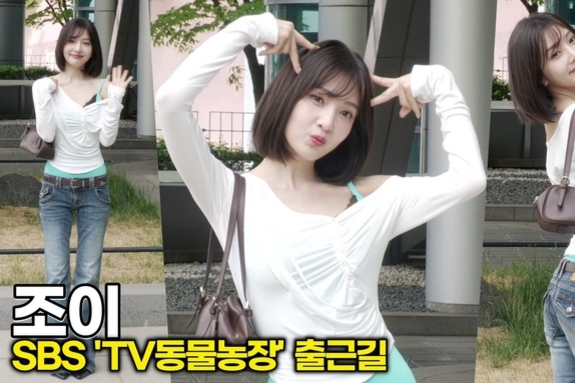 [스타 영상] 조이(Red Velvet), 미모가 너무 '고화질'이라 주차장이 런웨이 된 썰.txt (SBS 'TV 동물농장' 출근길)